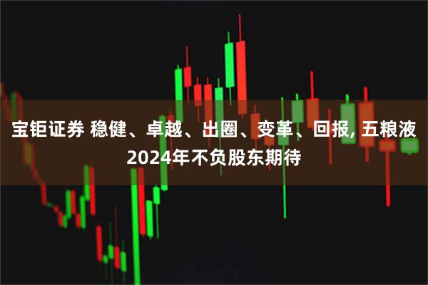 宝钜证券 稳健、卓越、出圈、变革、回报, 五粮液2024年不负股东期待