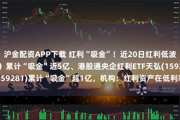 沪金配资APP下载 红利“吸金”！近20日红利低波ETF天弘（159549）累计“吸金”近5亿、港股通央企红利ETF天弘(159281)累计“吸金”超1亿，机构：红利资产在低利率环境下具备配置价值