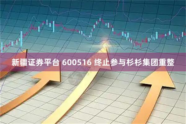 新疆证券平台 600516 终止参与杉杉集团重整